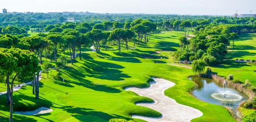 MONTGOMERIE MAXX ROYAL