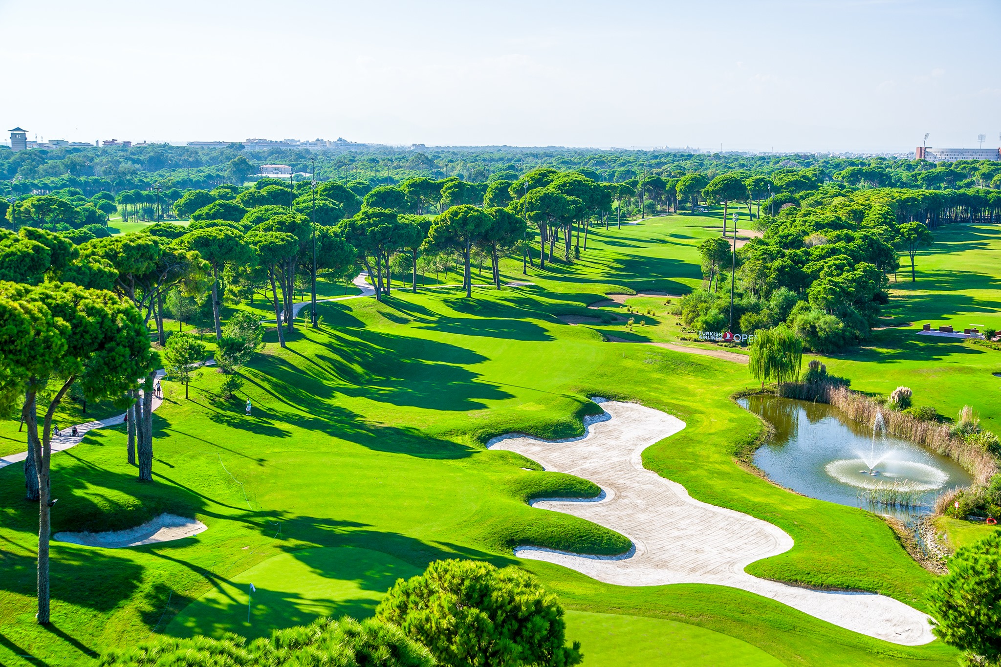 MONTGOMERIE MAXX ROYAL